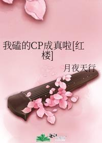 我磕的cp成真了txt