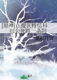 原神提瓦特有多大