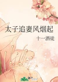 太子追妻被虐惨了