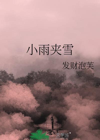 小雨夹雪by发财泡芙