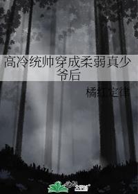 高冷统帅穿成柔弱真少爷后 橘红定律