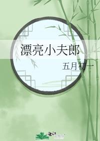 漂亮小夫郎txt免费全集