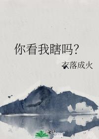 你看我瞎吗?电子书