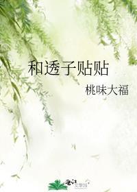 透皮贴怎么用