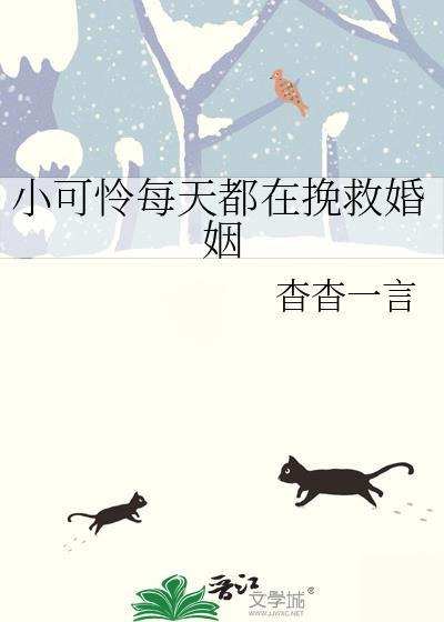 小可怜每天都在挽救婚姻大结局