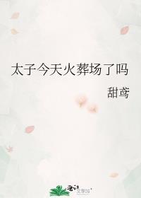 太子今天火葬场了吗甜鸢全文免费阅读