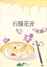石缝花开全文