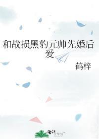 和战损黑豹元帅先婚后爱全文177章免费阅读