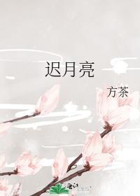 林间有风
