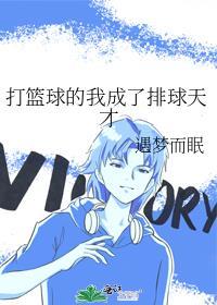 打篮球的我成了排球天才在线阅读