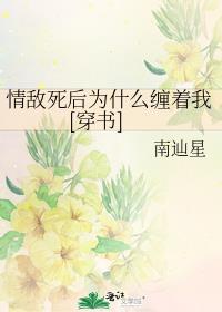 情敌后来都喜欢我
