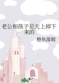 藕饼天上掉下老公孩子