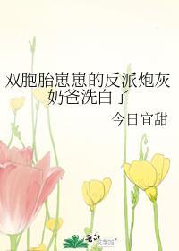 帝师攻略双洁还是单洁
