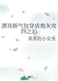 漂亮娇气包穿成炮灰攻四之后笔趣阁