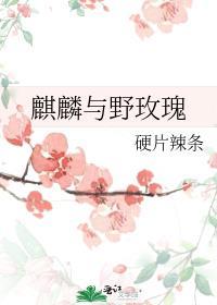 玫瑰麒麟花