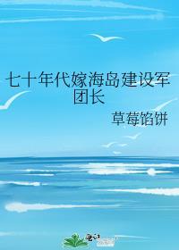 七十年代嫁海岛建设军团长最新章节