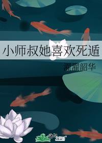 小师叔文