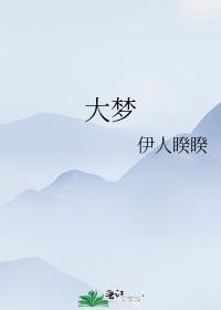 大梦想家