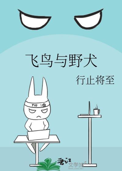 飞鸟与野犬笔趣免费观看