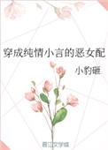 穿成纯情小言的恶女配书包