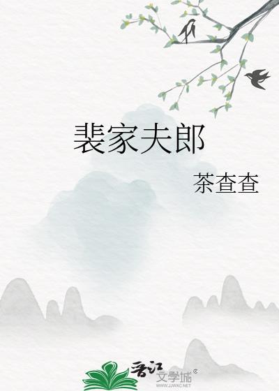 裴家夫郎by茶查查免费阅读