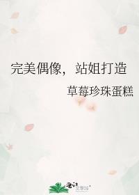 完美偶像站姐打造免费阅读