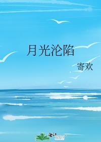 月光沉没 作者初禾