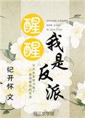 醒醒我是反派前传