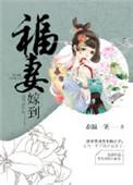 福妻嫁到免费阅读