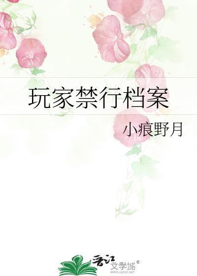 minecraft玩家档案