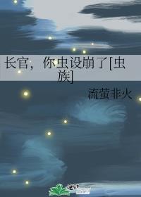 长官你好