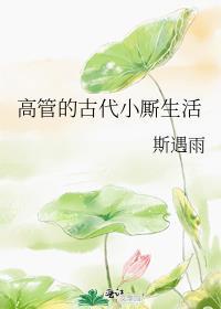 高管的古代小厮生活 斯遇雨