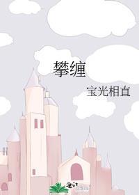 攀缠1至100集免费观看