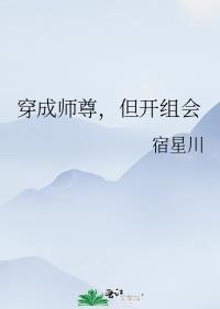 但开组会by宿星川