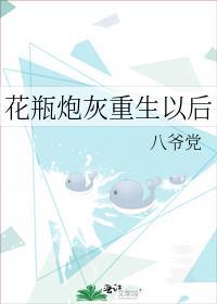 花瓶炮灰重生以后讲的什么