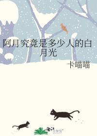 我的alpha晋江