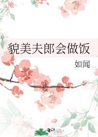 貌美夫郎会做饭免费