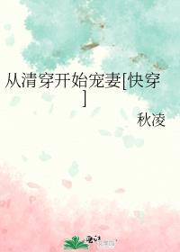 清穿从如懿传开始