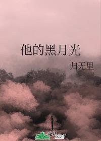 他的黑月光归无里