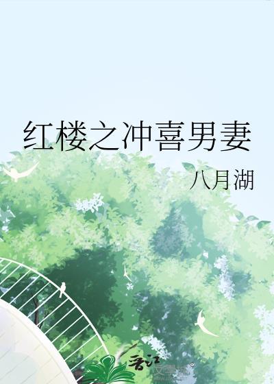 穿越红楼之
