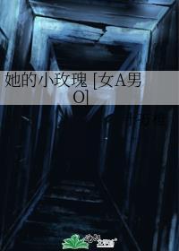 她的小玫瑰 [女A男O
