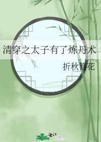 清穿之太子有了炼丹术百度