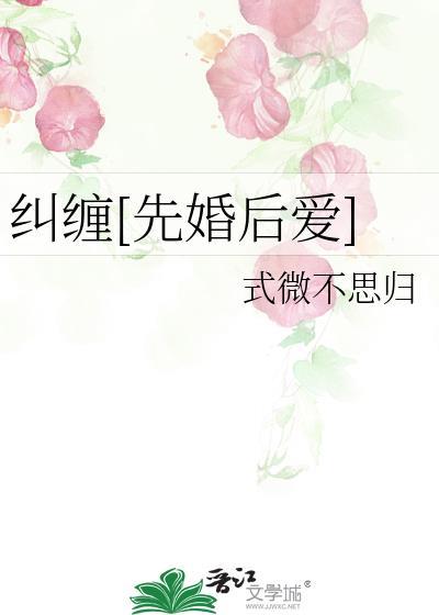 纠缠先婚后爱式微不思归TXT