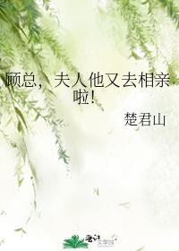 夫人又辞职了唐果果