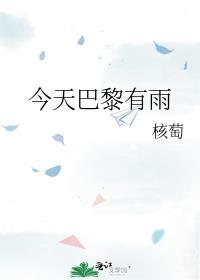今天巴黎有雨免费阅读