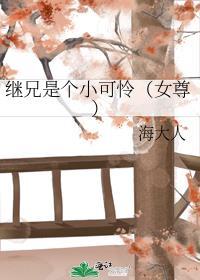 继兄是夫