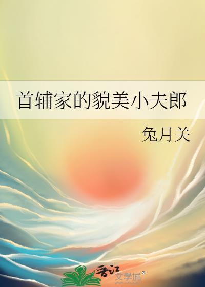 首辅家的貌美小夫郎晋江