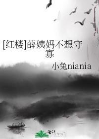 红楼梦薛姨妈叫什么