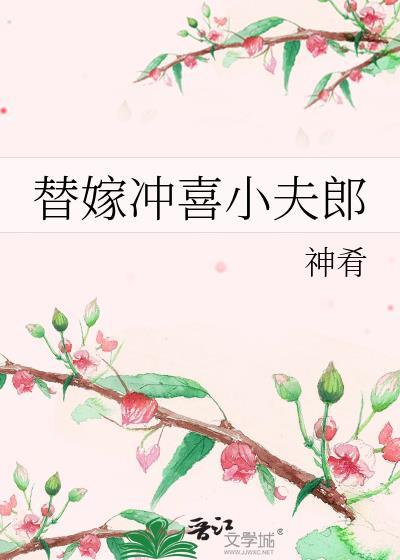替嫁冲喜小夫郎穿书