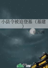 小县令被迫登基(基建) 作者临西洲